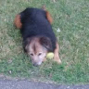 Meet your Posher, Paul